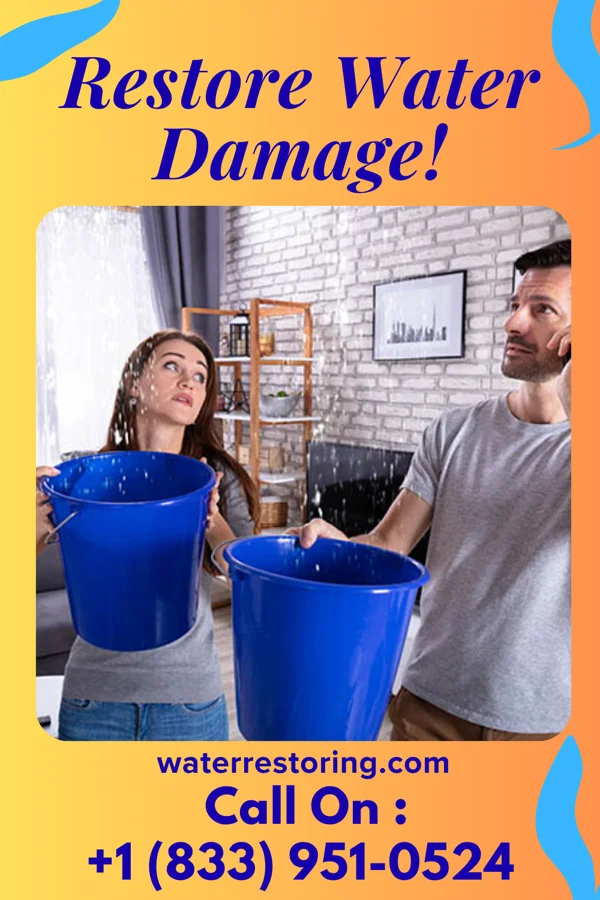 water restoration Prestige Flood Damage Experts Braxton