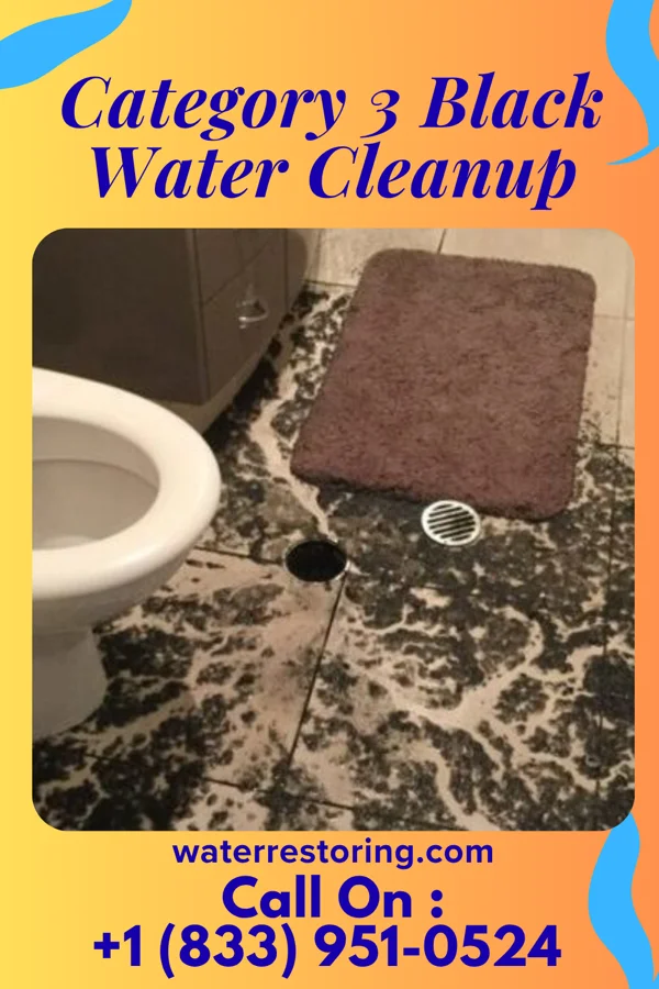 Category 3 Black Water Cleanup in Braxton, MS