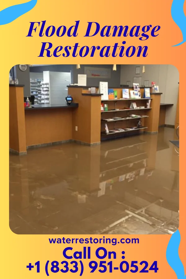 Flood Damage Restoration in Braxton, MS