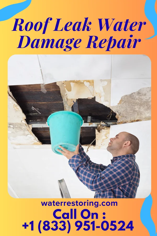 Roof Leak Water Damage Repair in Braxton, MS