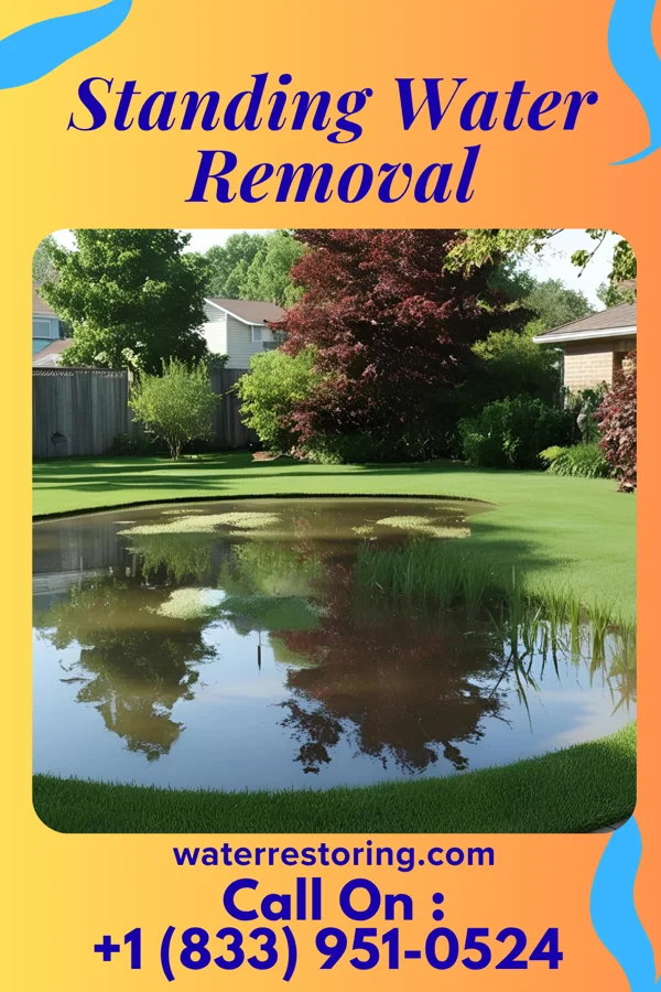 Standing Water Removal in Braxton, MS